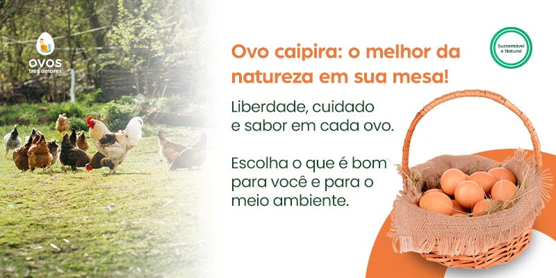 Imagem-de-uma-fazenda-com-galinhas-e-ovos-caipira-destacando-a-importancia-de-escolher-ovos-naturais-para-uma-alimentacao-saudavel-e-sustentavel
